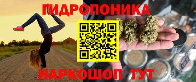 стаф Балахна