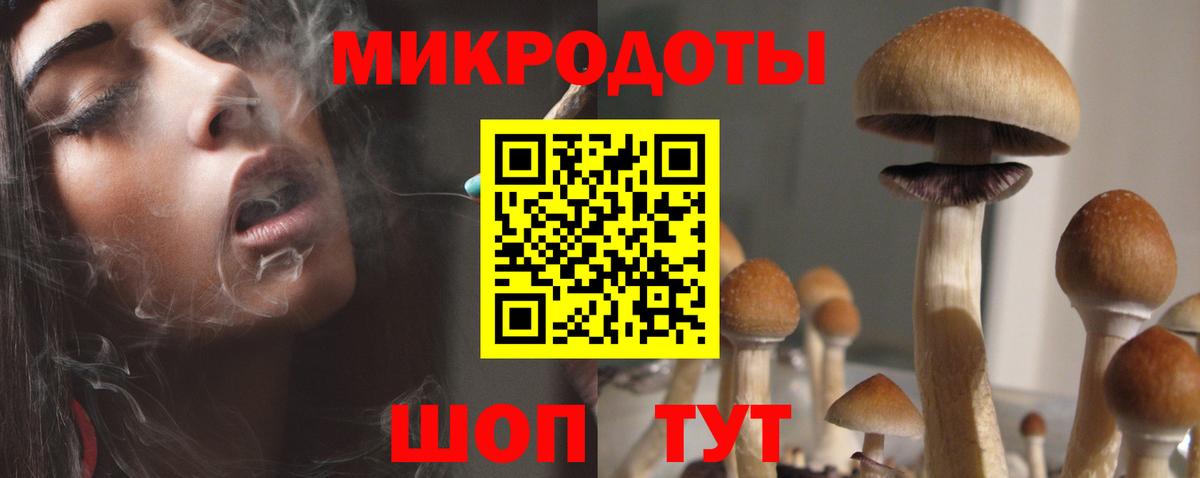 Владивосток  Псилоцибиновые грибы Cubensis  Вход с VPN 